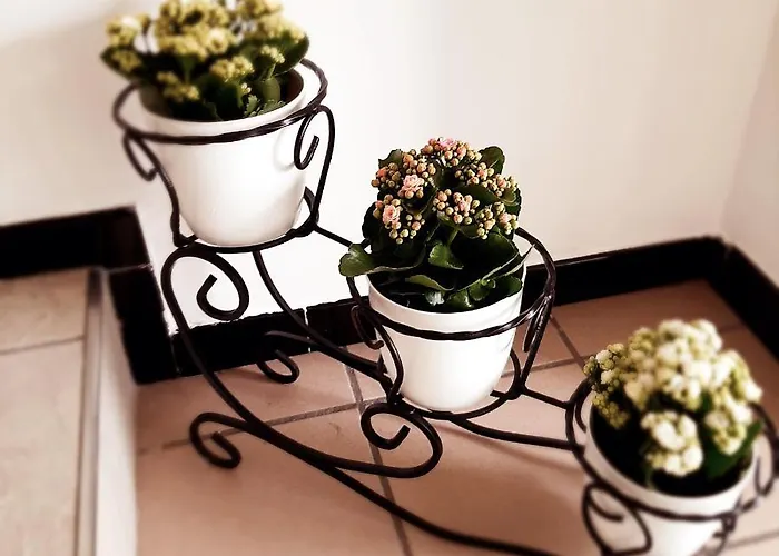 Отель John Римини